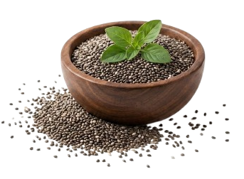 Chia Seed