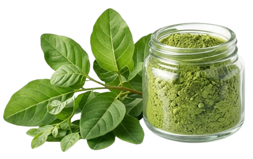 Moringa