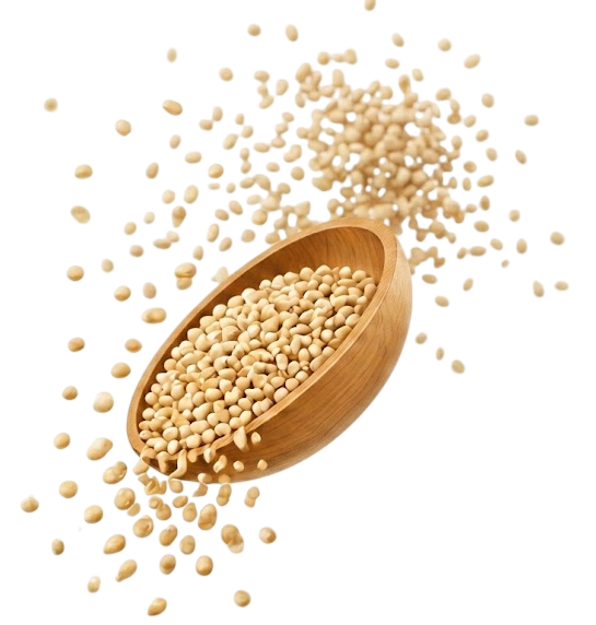 Quinoa