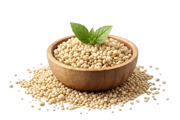 Quinoa